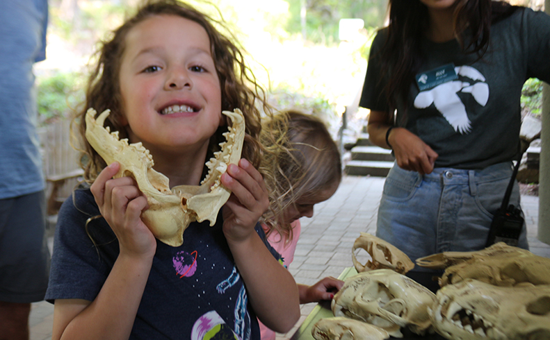 Family Getaway - Mid July 2026