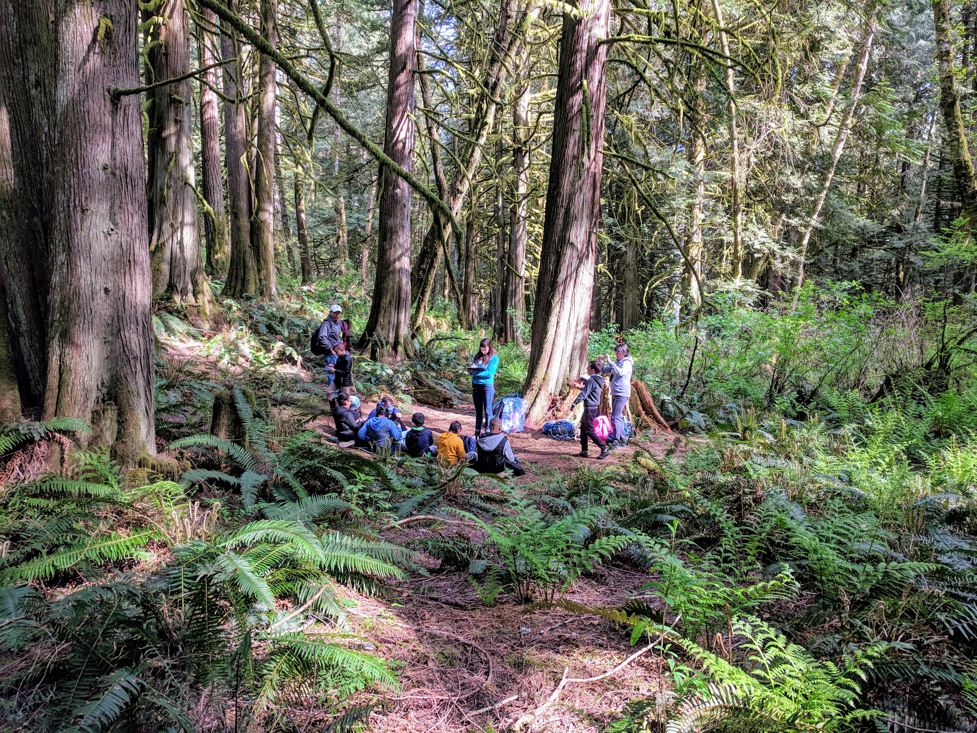 forest-school-may-2019_46969267084_o.jpg